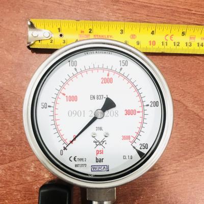 ĐỒNG HỒ ÁP SUẤT 250 bar WIKA